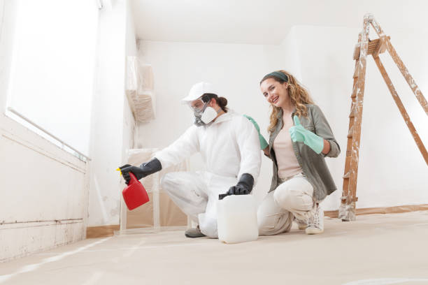 Reliable Appleton, MN Mold Removal Solutions